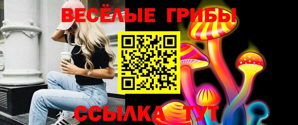 Псилоцибиновые грибы прущие грибы Мурманск