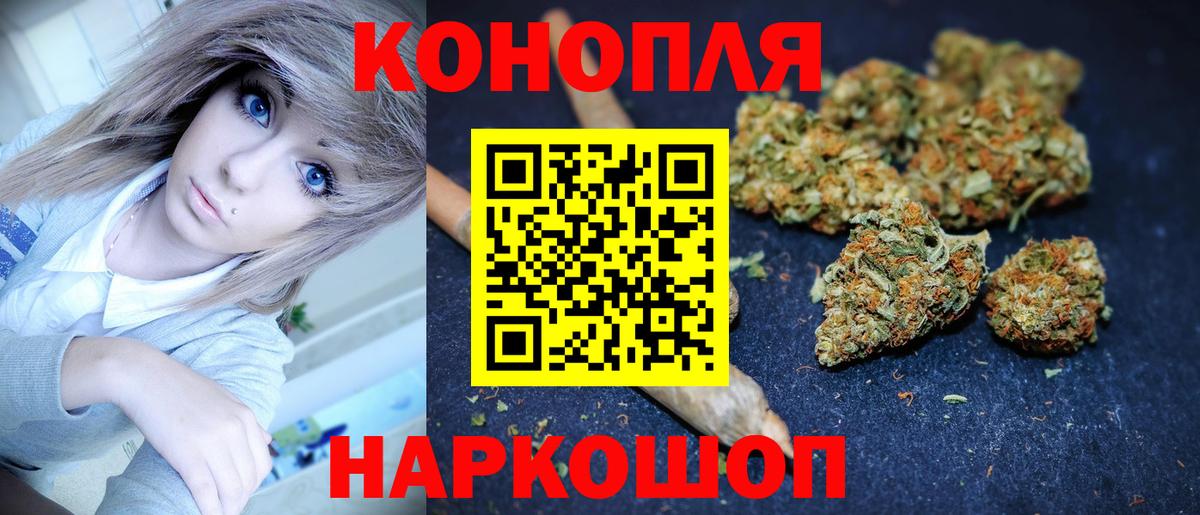 Альфа ПВП Мурманск